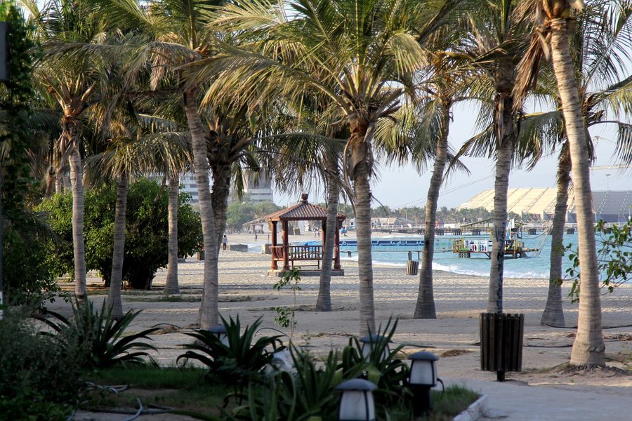 Tropikalna plaża z palmami